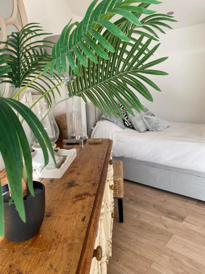 Spacious Studio Cabin With Sea/ Downs Views Sole Use Of Hottub In סיפורד מראה חיצוני תמונה